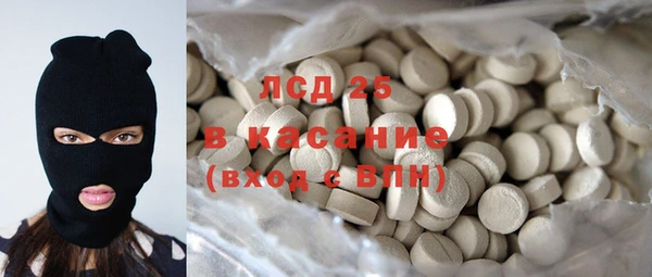амф Бородино