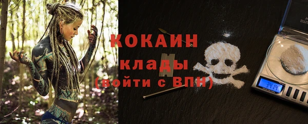 амф Бородино