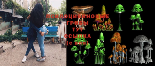 амф Бородино