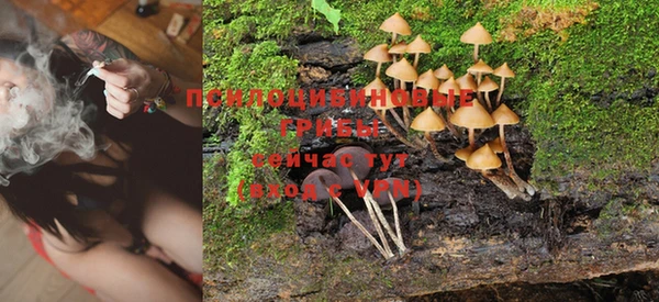 a pvp Бронницы