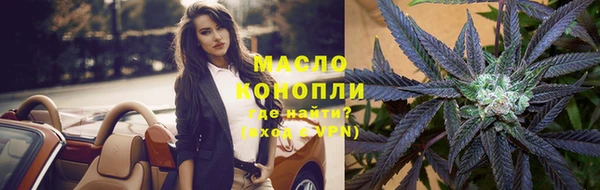 амф Бородино