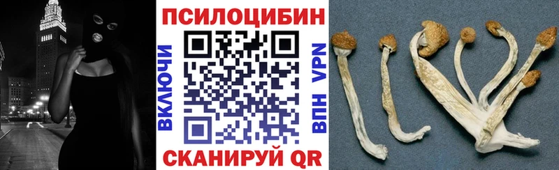 Галлюциногенные грибы Psilocybe  Махачкала 